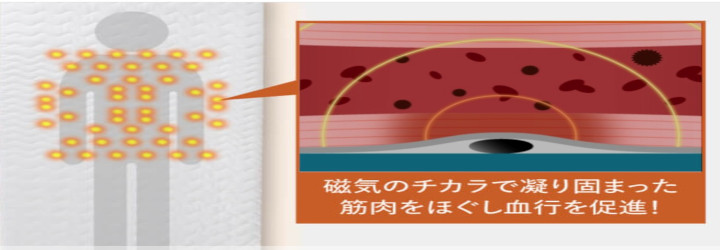 REVERIAについて
