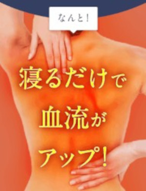 REVERIAについて